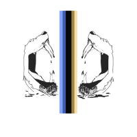 Logo of Cazador Consulting on Social Media Marketing